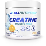 ALLNUTRITION Creatine Muscle Max Nahrungsergänzungsmittel - Creatin Monohydrat mit Taurin - Leistungssteigerung und Muskelaufbau - ohne Zuckerzusatz - Instantpulver 250g - Orange