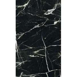 Schulte Duschrückwand Schwarz