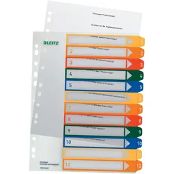 Esselte Leitz PC Printable Index - 12 Blatt Karteikarten