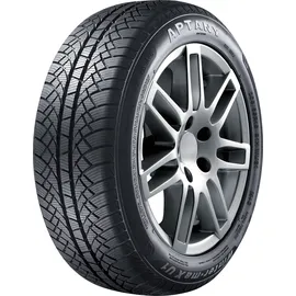 Aptany Winter-MAX U1 RW611 195/65 R15 91T