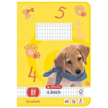Herlitz Schulheft x.book Lineatur 8f rautiert DIN A5 16 Blatt, 1 St.