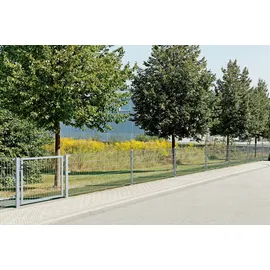 GAH Alberts Alberts Doppelstabmatten-Grundset 4 m 200 x 100 cm 6/5/6 feuerverzinkt