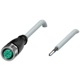 Pepperl+Fuchs Fabrik Kabeldose V1-G-2M-PVC-ABG