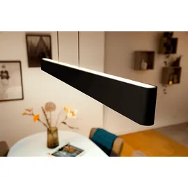 Philips Hue White & Color Ambiance Ensis schwarz