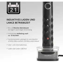 AILORIA SHINE BRIGHT Set Schwarz-Silber + Aufsteckbürsten Charcoal 6 St.