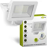 goobay LED Außenstrahler 50 W 53884