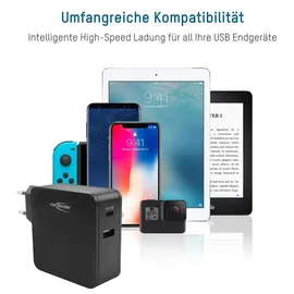 Ansmann 247PD