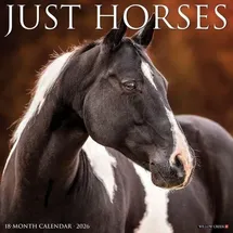 Willow Creek Press Horses 2026 Wall Calendar