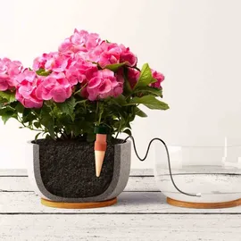 Blumat Bewässerung Set 3-tlg. (10308)