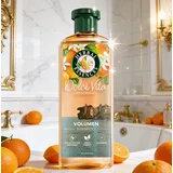 Herbal Essences Dolce Vita Volumen Shampoo 350 ml