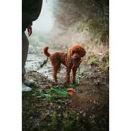 Hunter Maldon Up Hundegeschirr orange/grau M-L