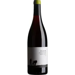 Pinot Noir Tradition Weingut Pflüger 2023 BIO