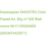 Mondi BUSINESS PAPER 80g MAESTRO color A4 9417-CR20A80S