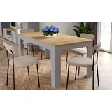 Forte Esstisch Bohol 160/206,60 x 90,20 cm Dekor Grau 160 90