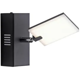 neuhaus pure Mira (PURE) black pearl
