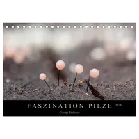 Calvendo FASZINATION PILZE 2026 (Tischkalender 2026 DIN A5 quer),