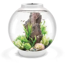 biOrb CLASSIC 60 LED, weiß