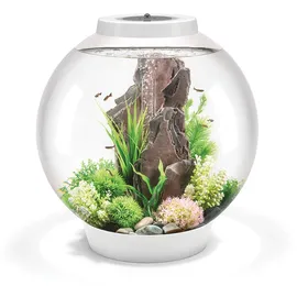 biOrb CLASSIC 60 LED, weiß