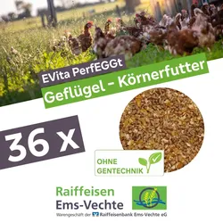 EVita PerfEGGt Geflügel Körnerfutter 36 x 20kg – Ergänzungsfutter ohne Gentechnik