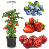 Tomatenpflanze aus Kunststoff Pflanzkübel 28 L Tomatenzüchter Tomatentopf