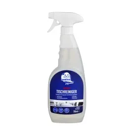 Walter Schmidt Chemie GmbH Kunststoffreiniger Intensiv 750 ml