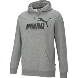 Puma Essentials Big Logo Hoodie FL medium gray heather (03) XXL