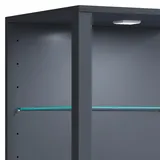 VCM Standvitrine Glasol 52 x 44 x 90 cm Grau