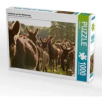 Calvendo Eselherde auf der Wanderung 1000 Teile Puzzle quer