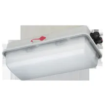 Schuch Licht LED-Ex-Wannenleuchte e855F L10 DIMD