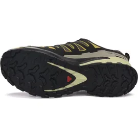 Salomon XA Pro 3D V9 GTX Herren Urban Chic/Black/Cress Green 44