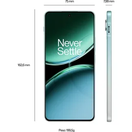 OnePlus Nord 4 16 GB RAM 512 GB Oasis Green