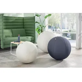 Leitz Ergo Active Sitzball hellgrau 65,0 cm