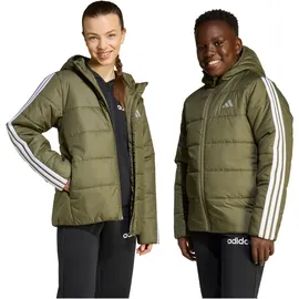 adidas Winterjacke Olive Strata/White 152