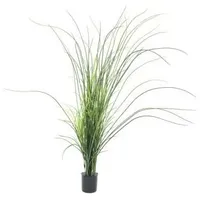 Europalms Schilfgras, 145cm
