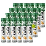 eväm Magnesium + Vitamin B Complex C Brausetabletten 20 St.