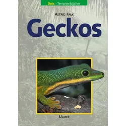 Geckos