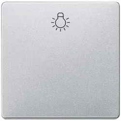 Siemens 5TG62010AM20 DELTA i-system Wippe mit Symbol Licht, aluminiummetallic