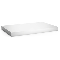 Zubehör für die Bar. Tablett für kalte Platten