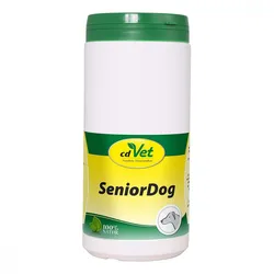 Senior Dog