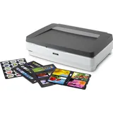 Epson Expression 13000XL Pro (B11B257401BT)