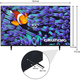 Grundig 55 VCE 223 55" 4K LED TV