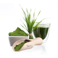 Gerstengras-Saftpulver Premium - bio & roh (0.2kg)