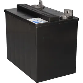 Sonnenschein / Exide Wirbel Rapid 15 BC 12V 25000 mAh 1 St.