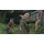 The Last of Us Part II Remastered - (PEGI) (PS5)