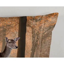 Good Morning Muller Textiles 20098.30.13