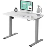 FLEXISPOT Schreibtisch Basic-Series (mit einteiligen Tischplatten), Elektrisch höhenverstellbarer Schreibtisch, 2- Fach-Teleskop grau 120 cm x 80 cm