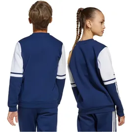 adidas Squadra 25 Team Navy Blue 116