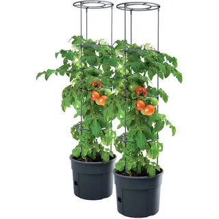 Prosperplast 2x Tomatentopf PAFEN Pflanzkübel Pflanzen Tomate 12L Garten