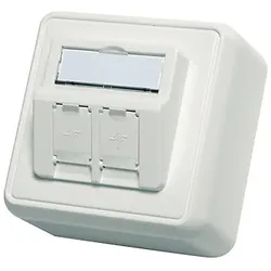 Telegärtner Modulaufnahme 80x80, 2-fach AP-Dose leer, alpinweiß
