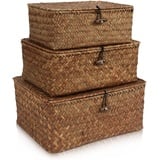 HUALIANG Rattan Aufbewahrung Korb mit Deckel,3 Pieces Natürliches Seegras Geflochtener Regalkörbe,Multifunktionaler Aufbewahrungsbox zum von Spielzeug Kosmetika badezimmer toilettenpapier aufbewahrung